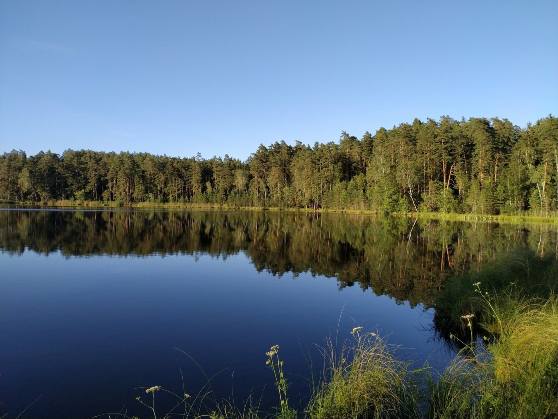 Gėluvos ežeras