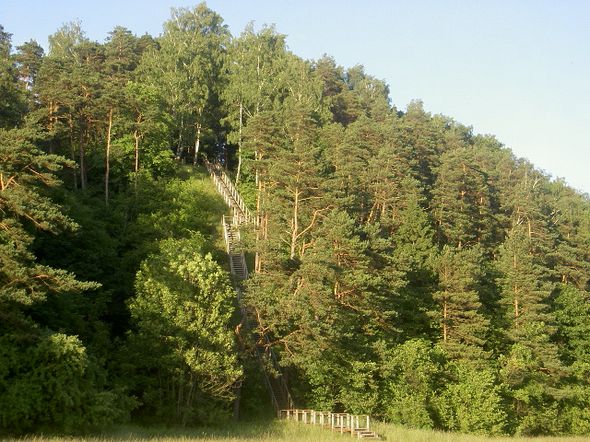 Rambyno kalnas Rambyno kalnas